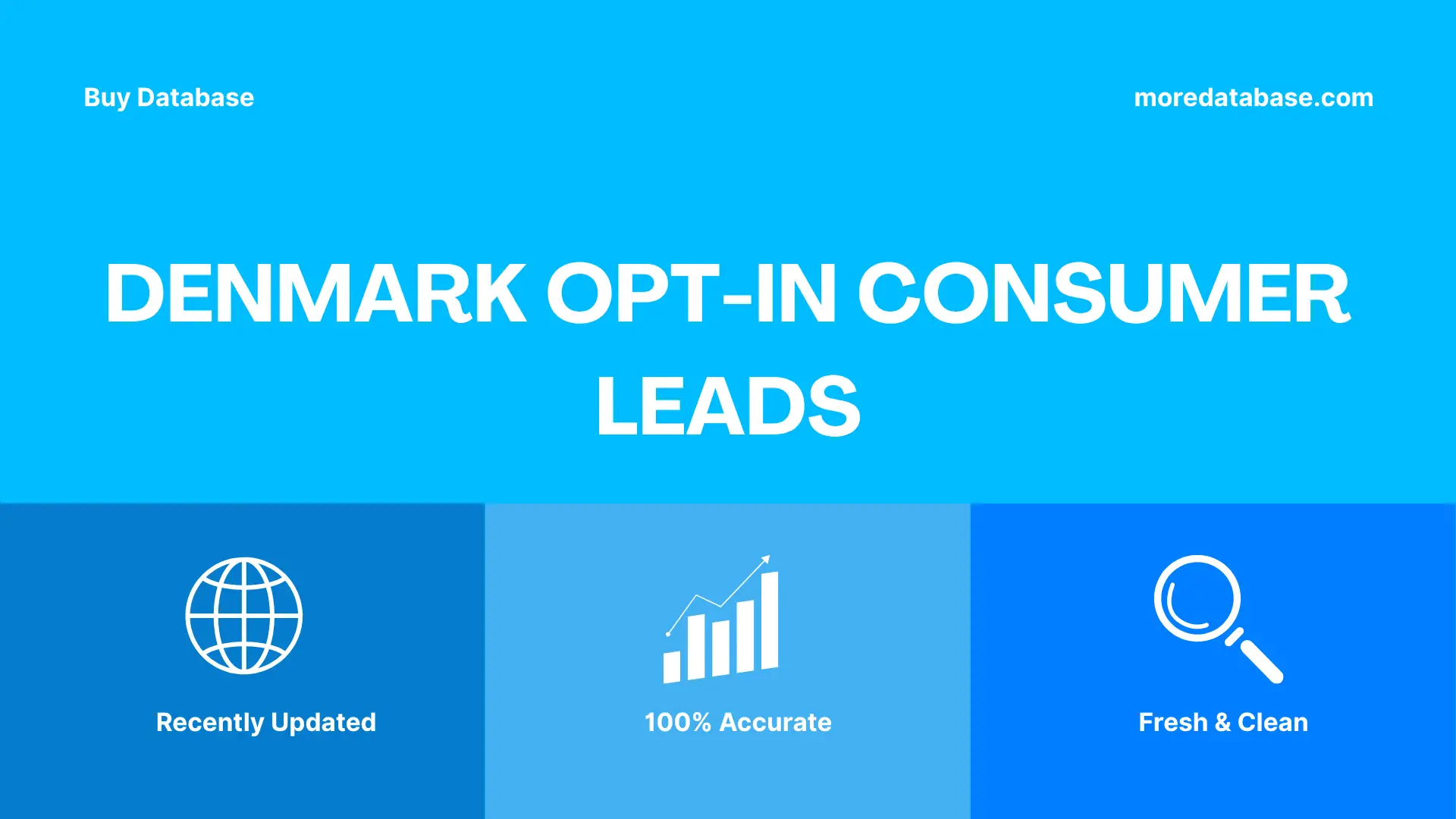 Denmark Opt-In Consumer Leads